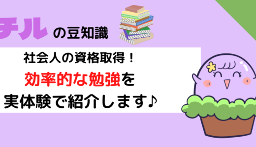 【実体験！】社会人の資格取得！効率的な勉強法！チルちゃんが体験談をご紹介！